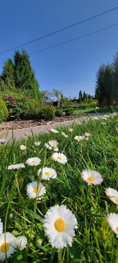 Трушки34 Villa Trushki Kültér fotó